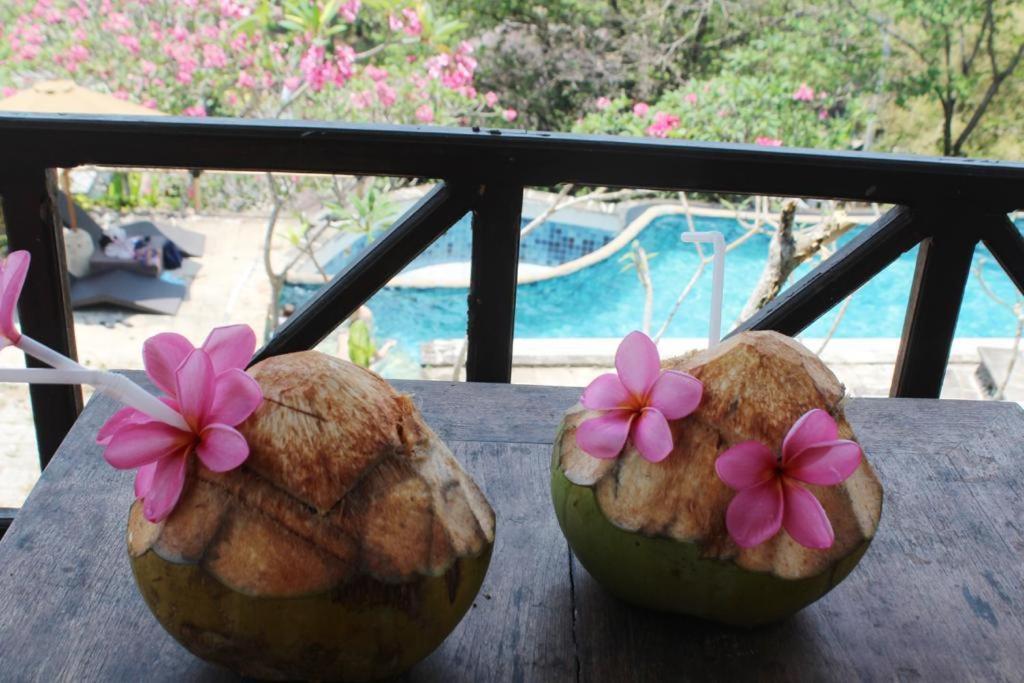 Lombok Coconut Hotel Mangsit Екстериор снимка